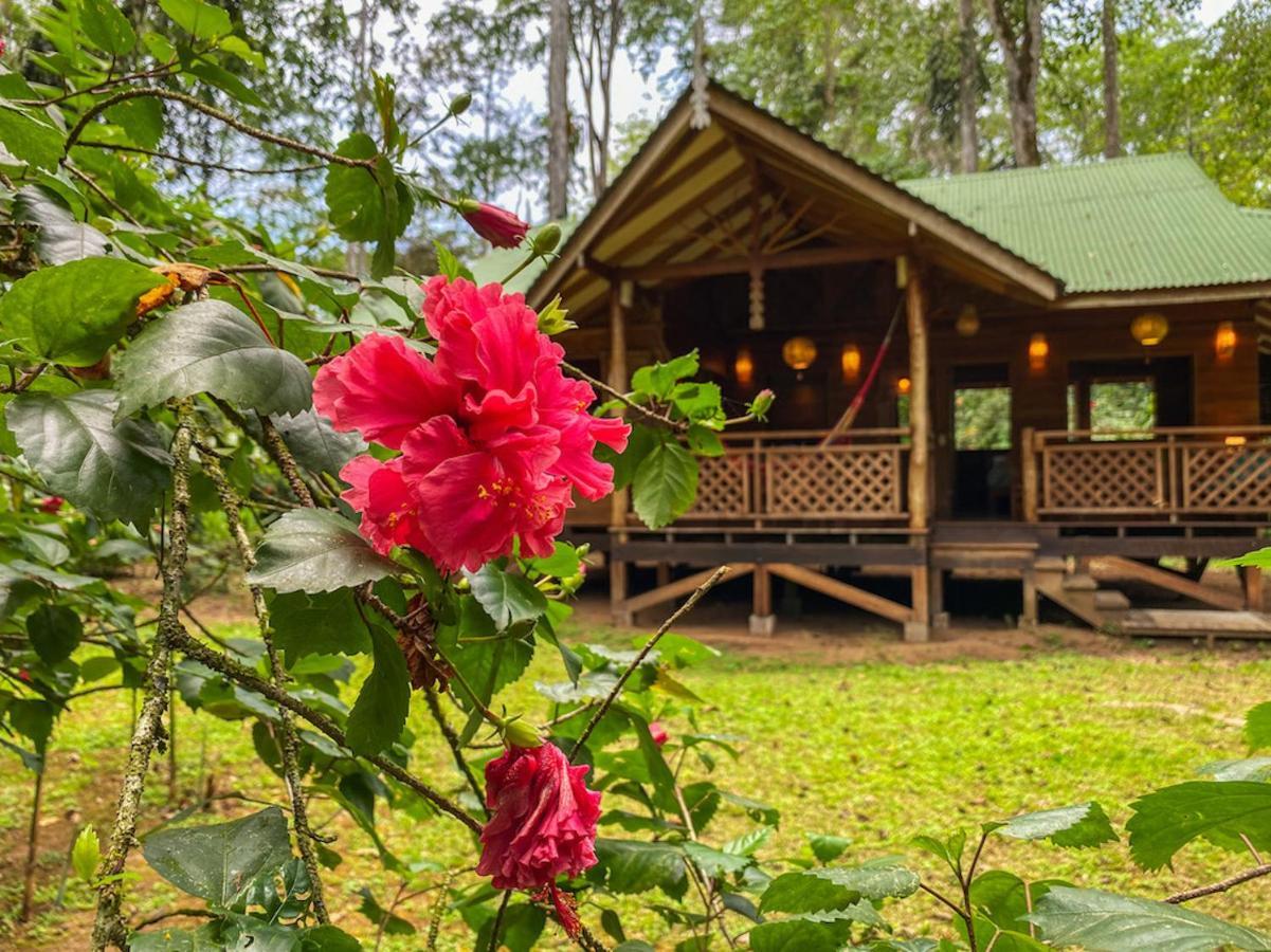 Finca Chica Lodge & Villas Puerto Viejo de Talamanca Εξωτερικό φωτογραφία