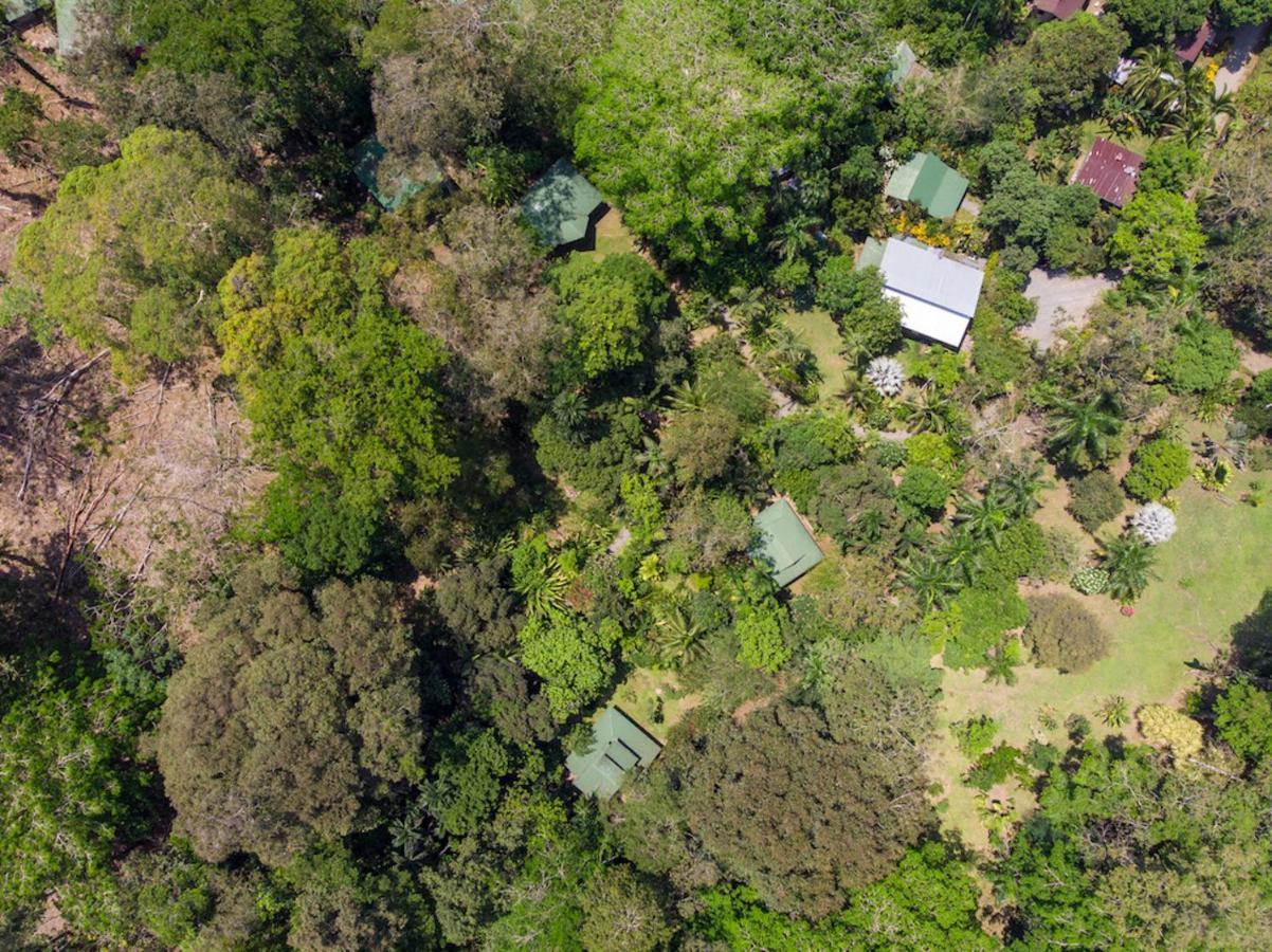 Finca Chica Lodge & Villas Puerto Viejo de Talamanca Εξωτερικό φωτογραφία