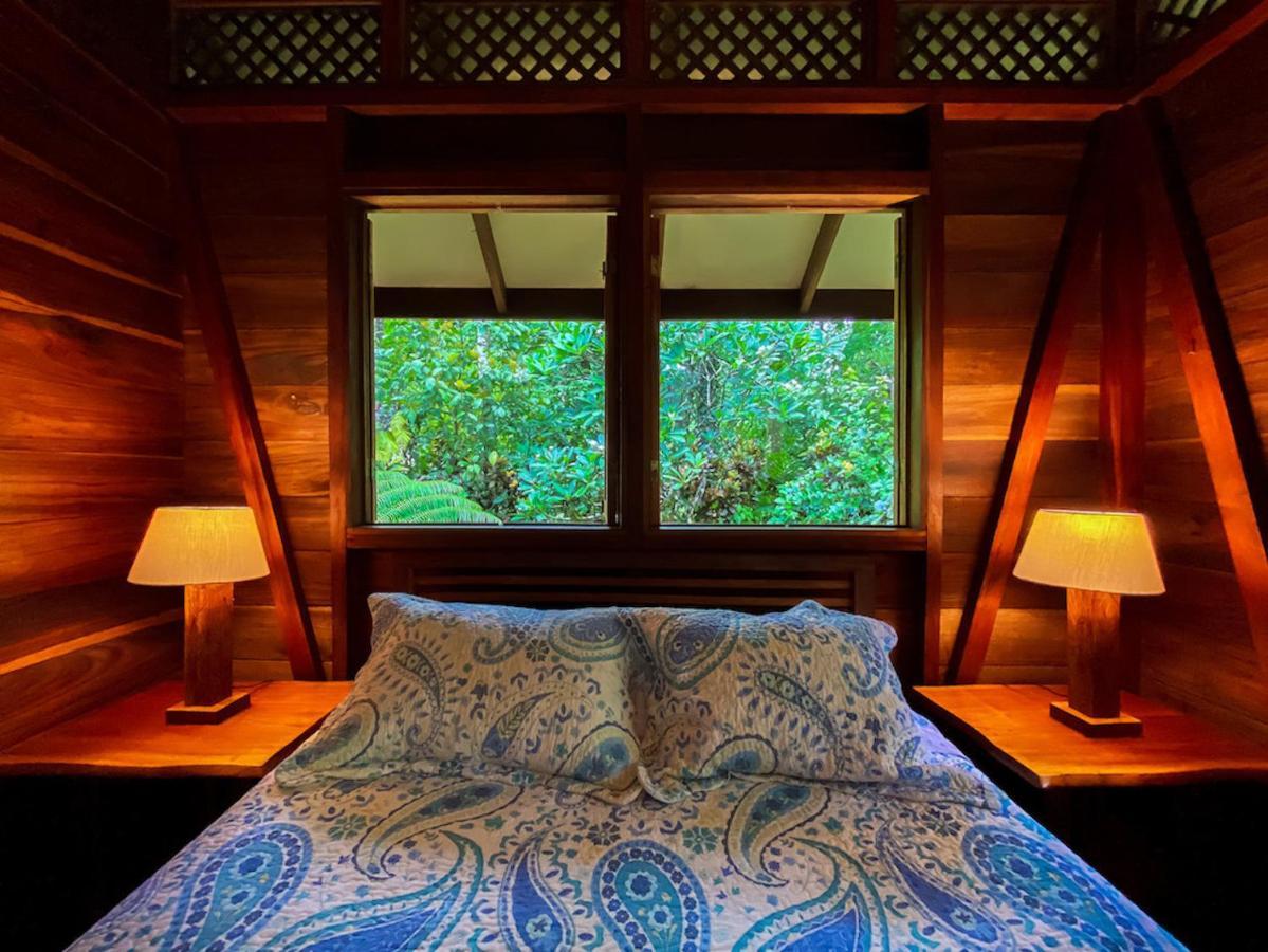 Finca Chica Lodge & Villas Puerto Viejo de Talamanca Εξωτερικό φωτογραφία