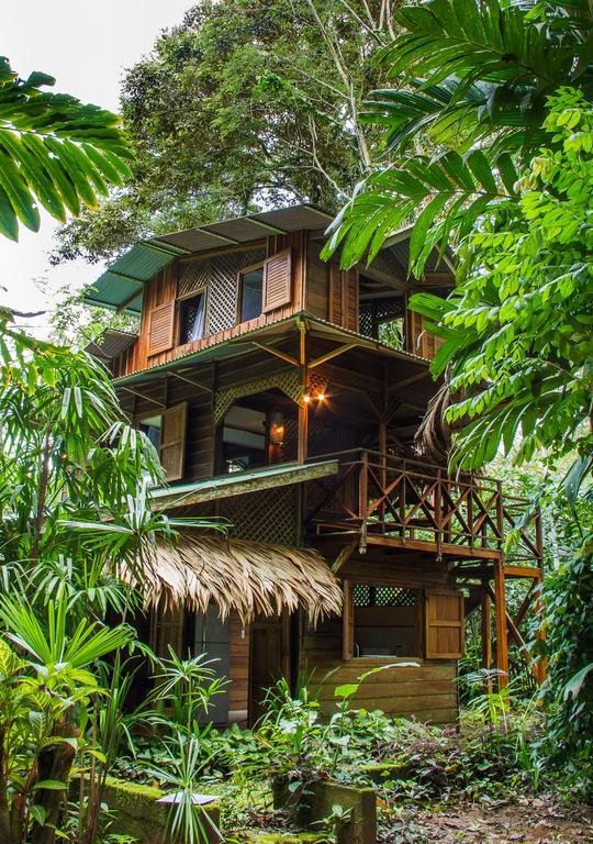 Finca Chica Lodge & Villas Puerto Viejo de Talamanca Δωμάτιο φωτογραφία